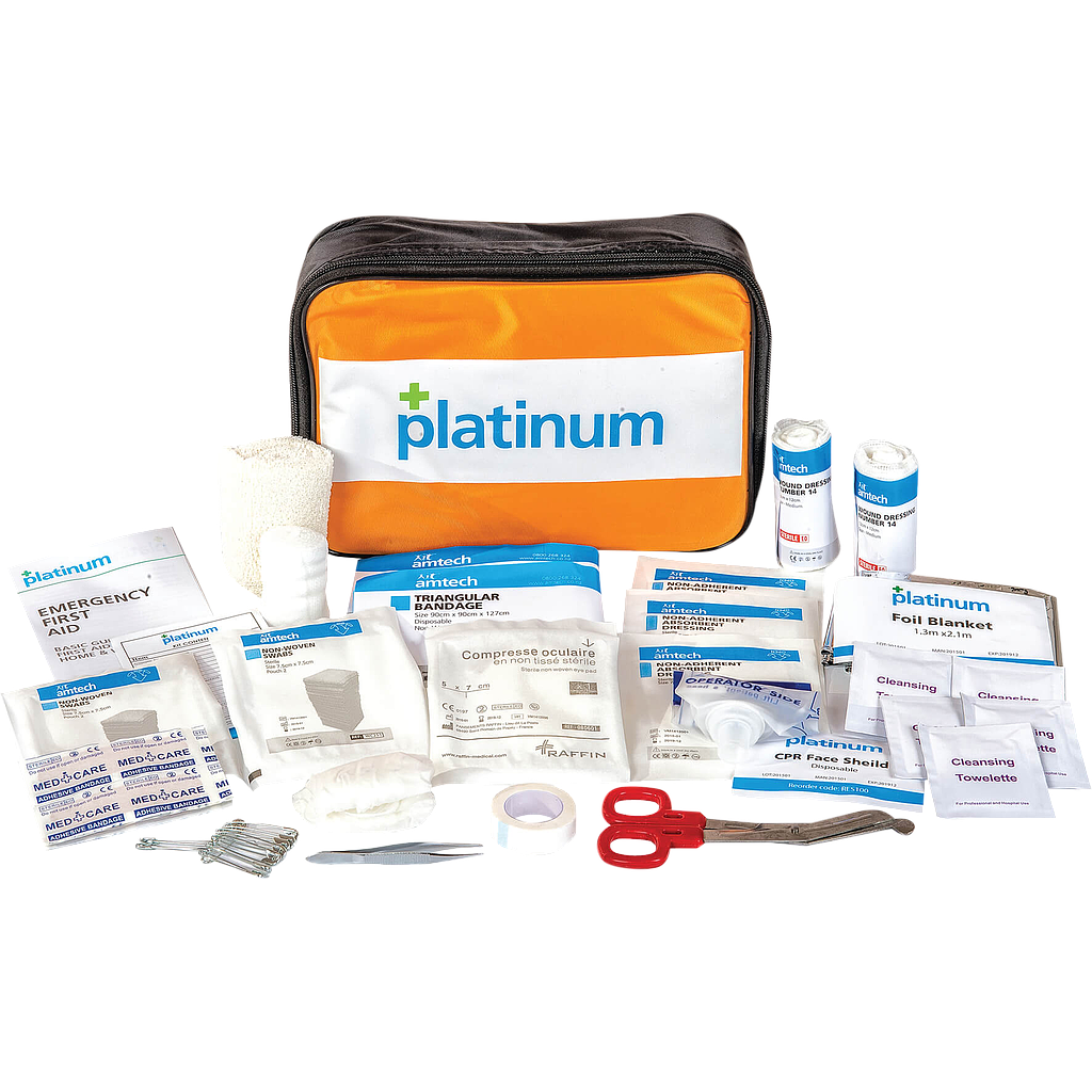 Platinum Small First Aid Kit 54pc