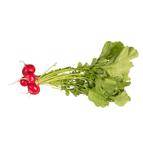 Radish Bunch