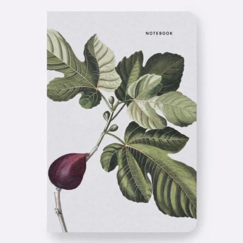 Father Rabbit Notebook | Fig