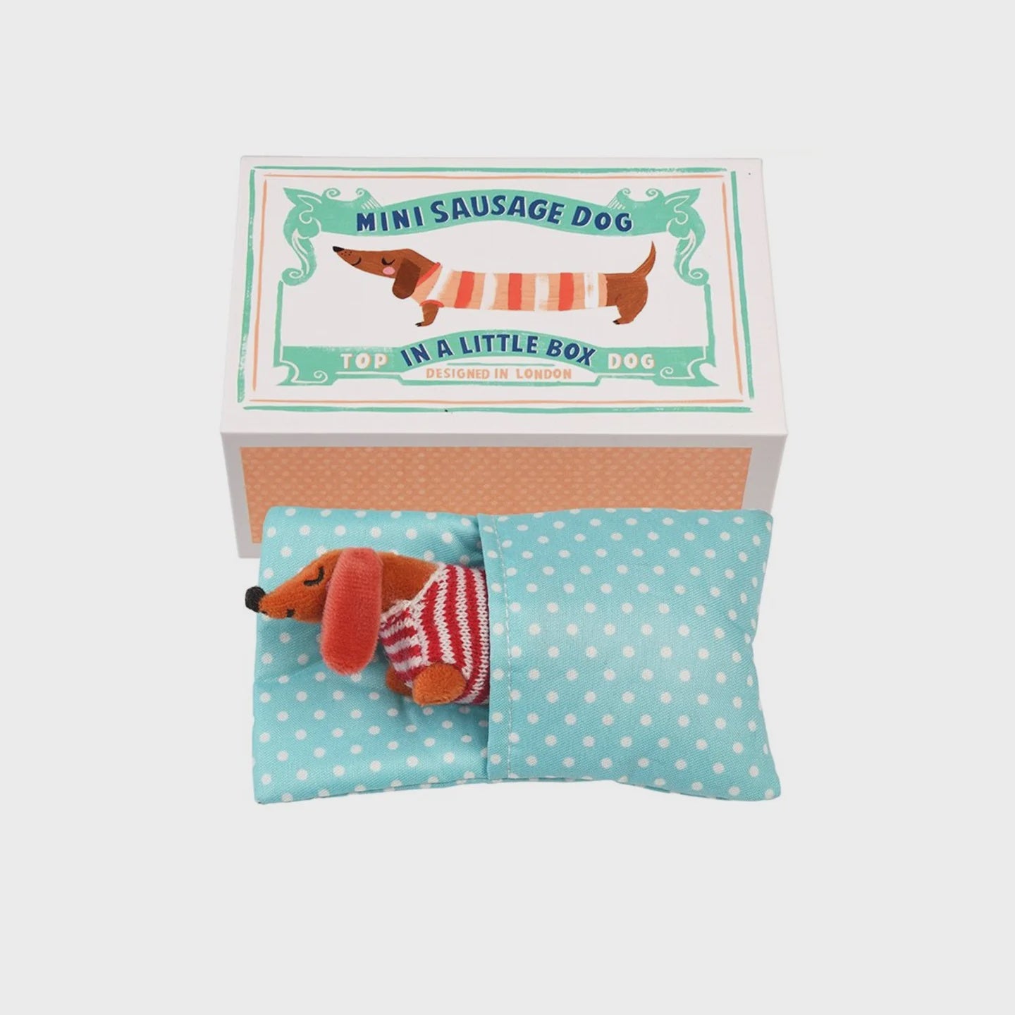 Mini Sausage Dog in Box