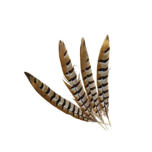 Pheasant Feather 30/35cm