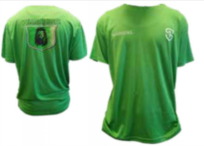 House Team Shirt Green Size 8