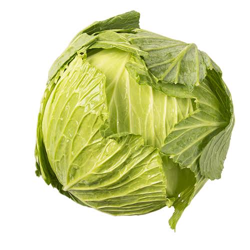 Cabbage Green Whole