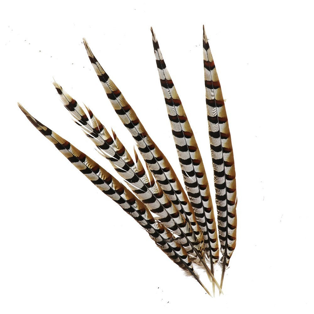 Pheasant Feather 55/60cm