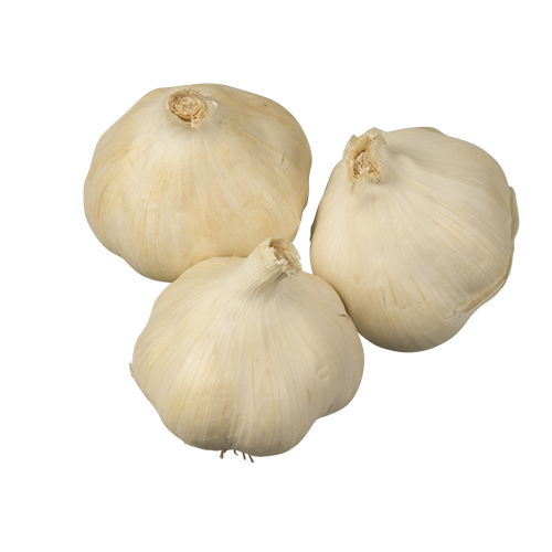 Garlic per kg
