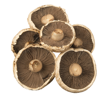Mushrooms Portabello per kg