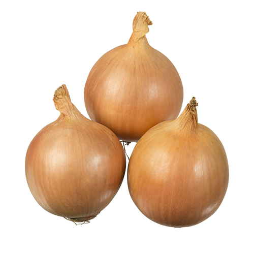 Onion Brown per kg